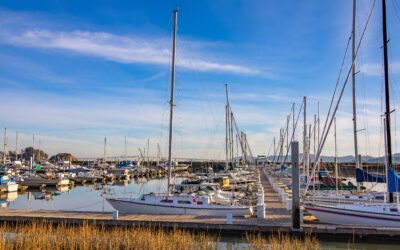 Marina Market Report: May 2026